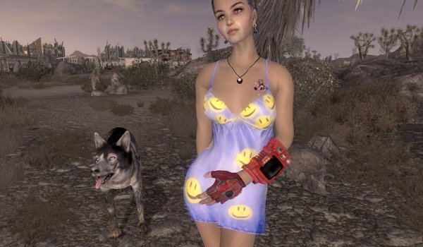 Pip Boy, Lingerie Fun Type 3